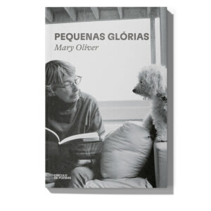 Pequenas glórias