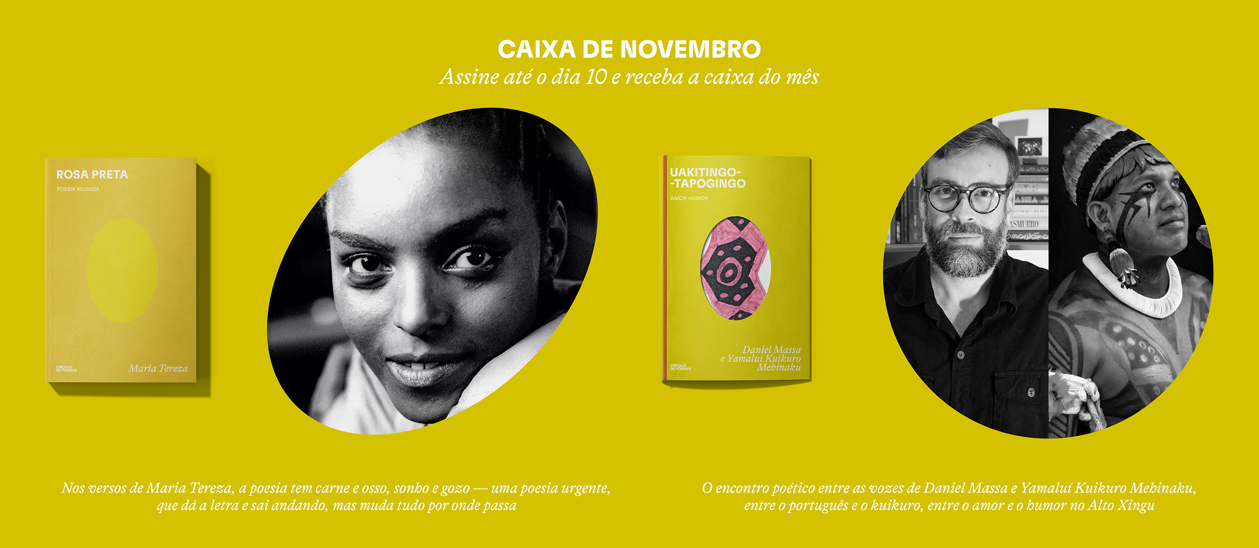 Caixa de novembro 2026